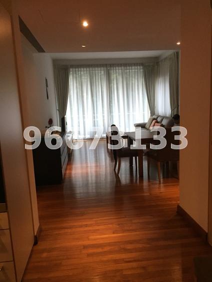 Cairnhill Crest (D9), Condominium #117874732